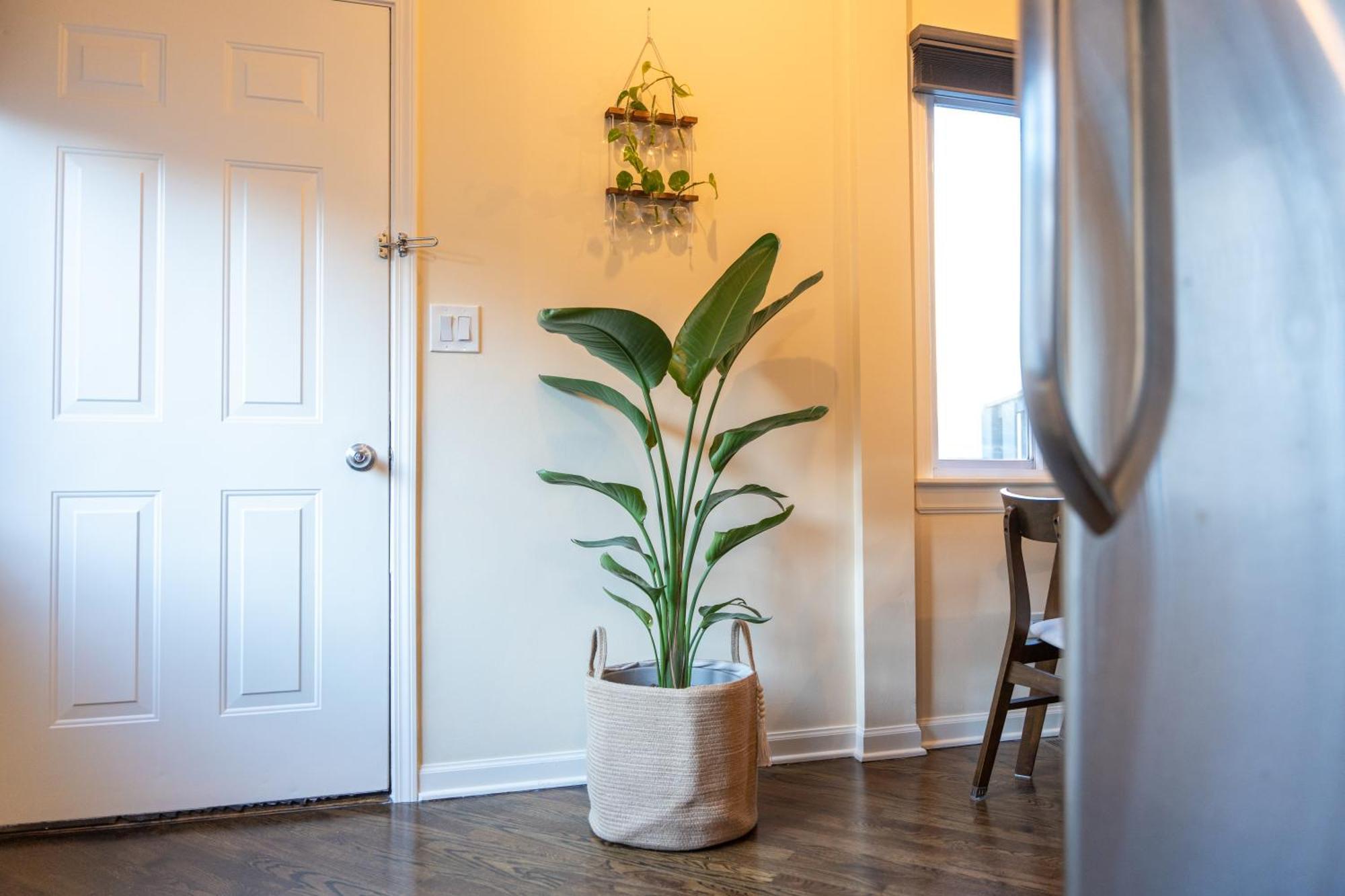 Bucktown Private Condo Чикаго Екстериор снимка